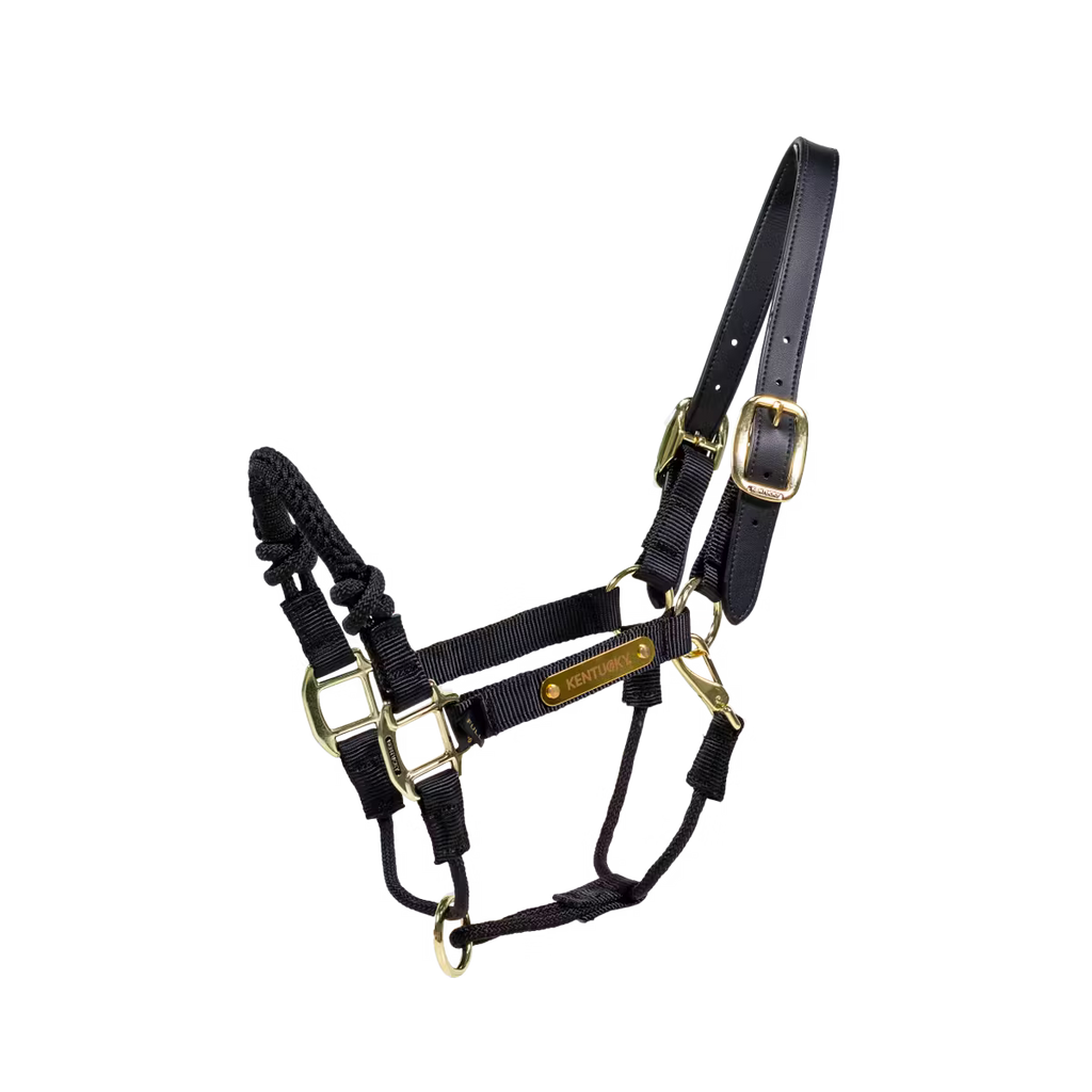 Licol de Contrôle Kentucky – Control Halter