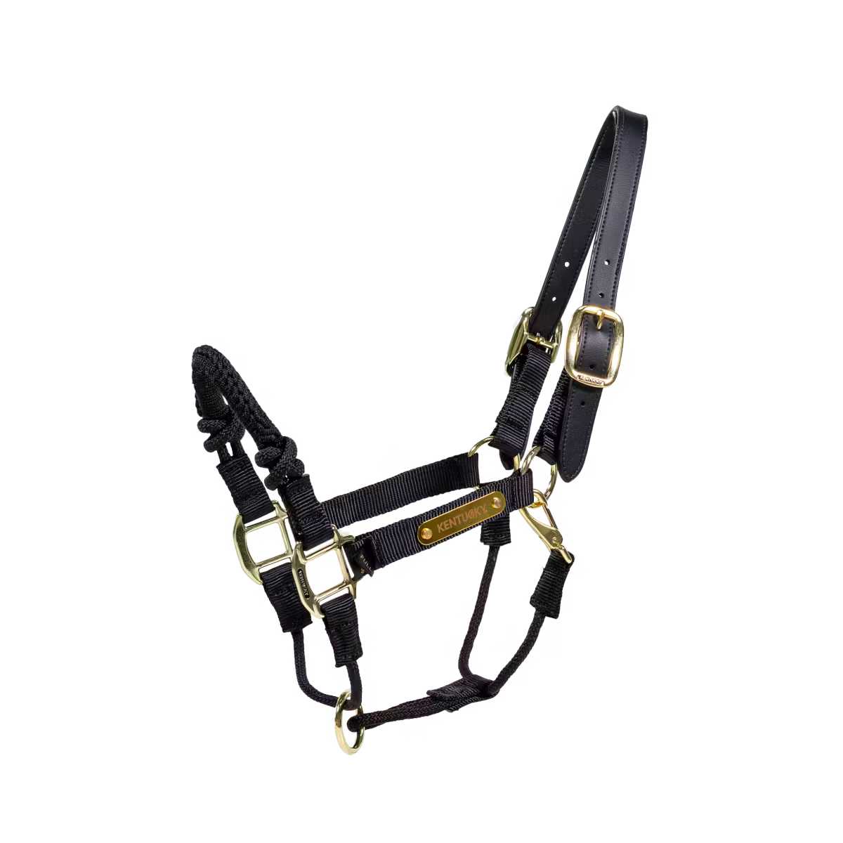 Licol de Contrôle Kentucky – Control Halter