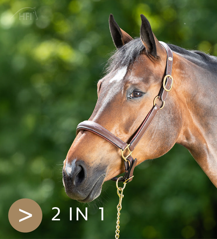 Licol HFI Grooming – Cuir Brun