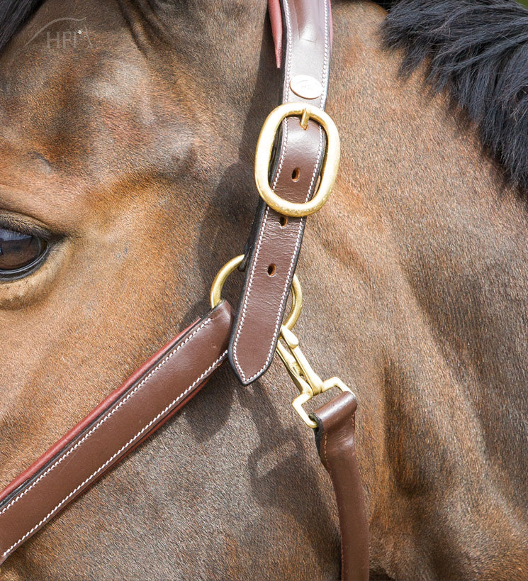 Licol HFI Grooming – Cuir Brun