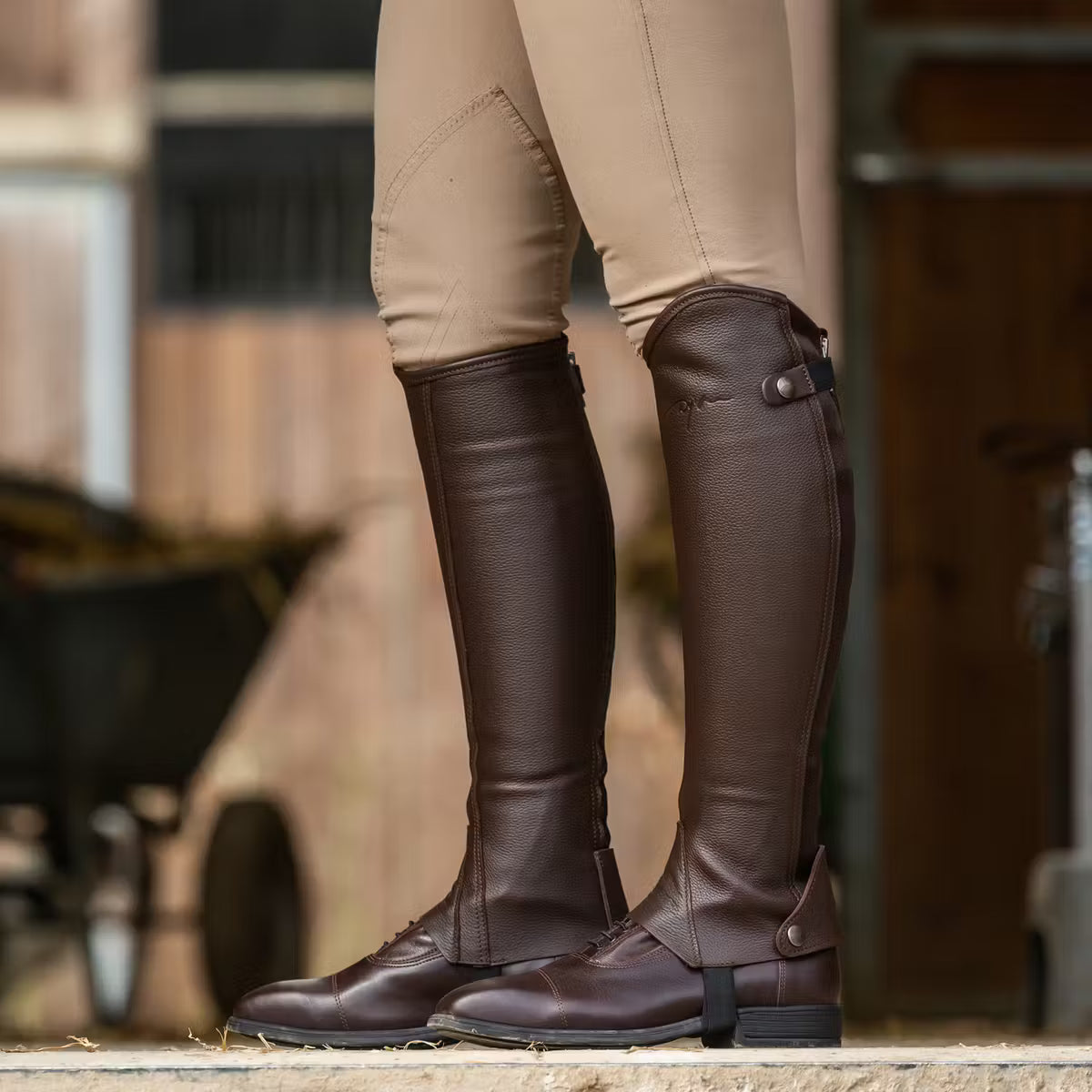 Mini chaps DYON Classic Brun