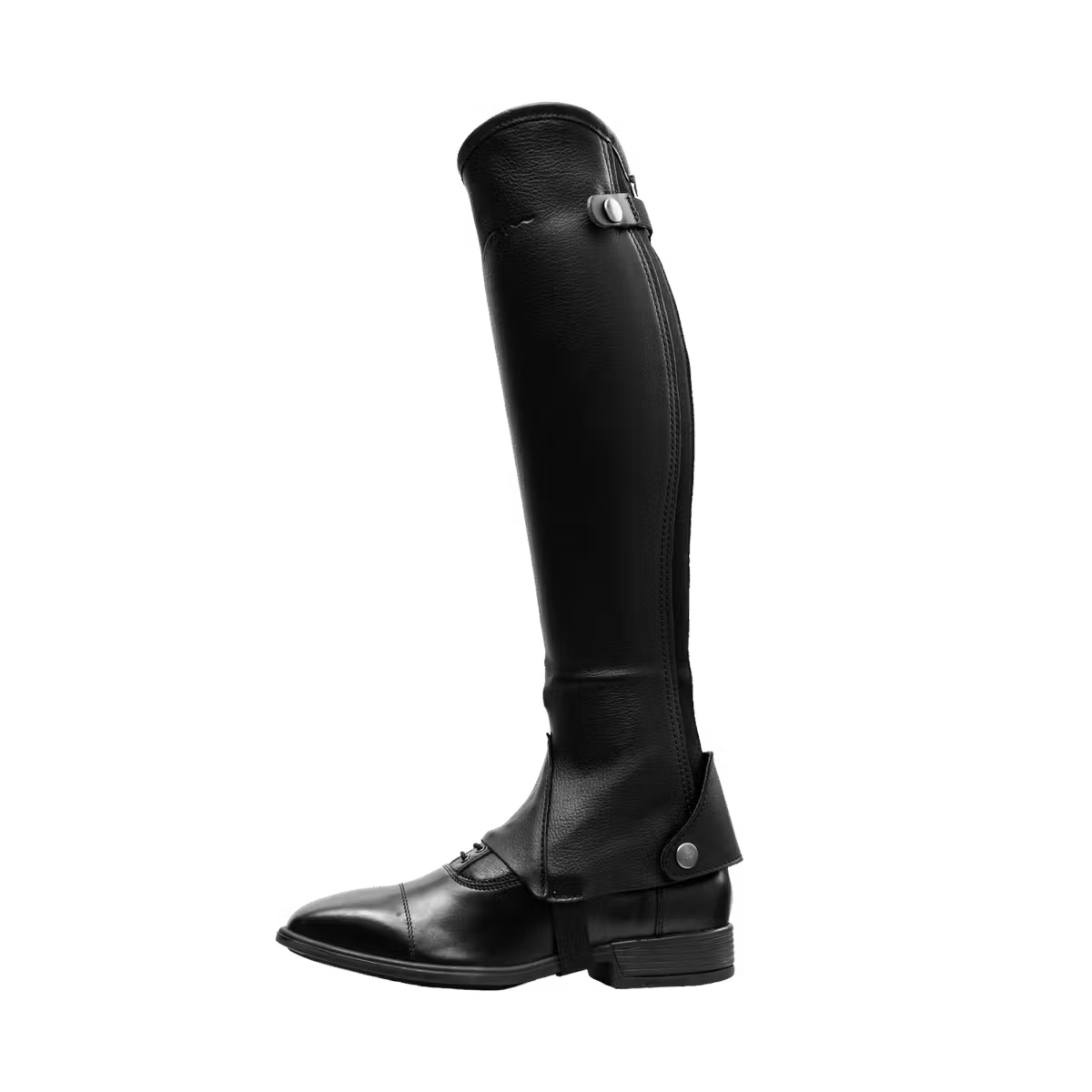 Mini chaps DYON Classic Noires