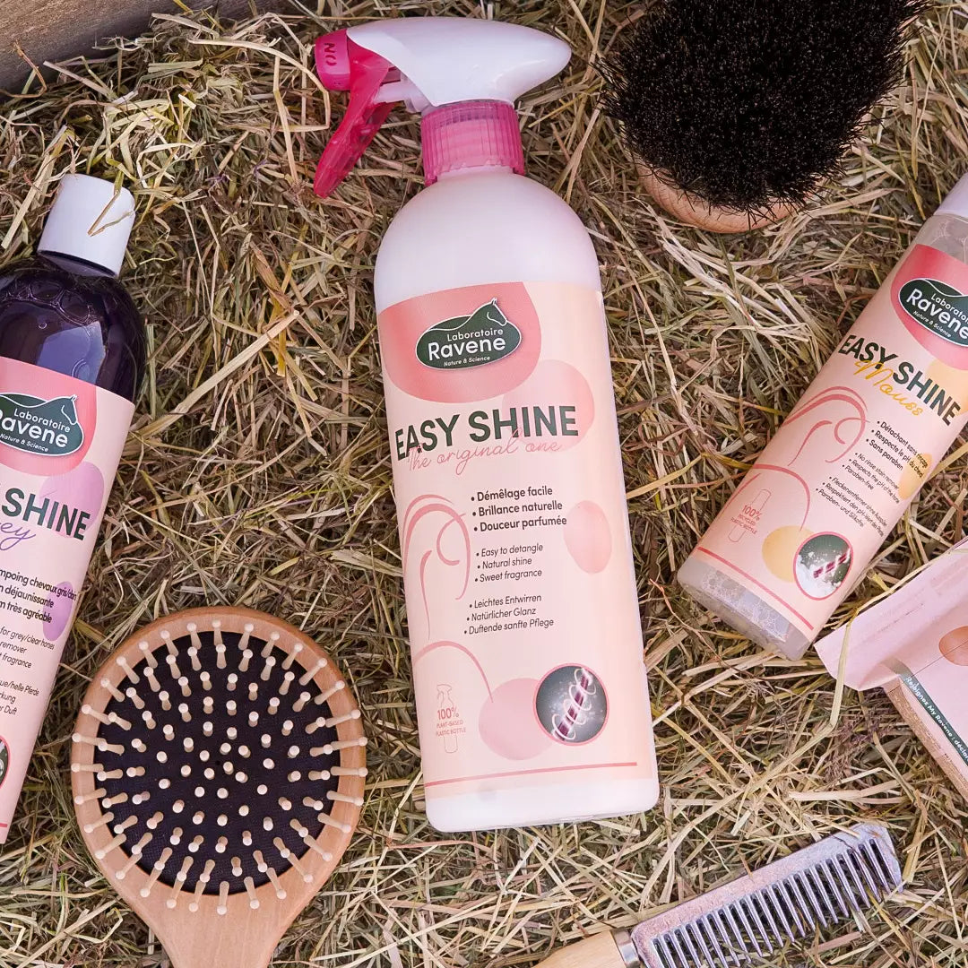 Easy Shine – Spray Lustre & Démêle