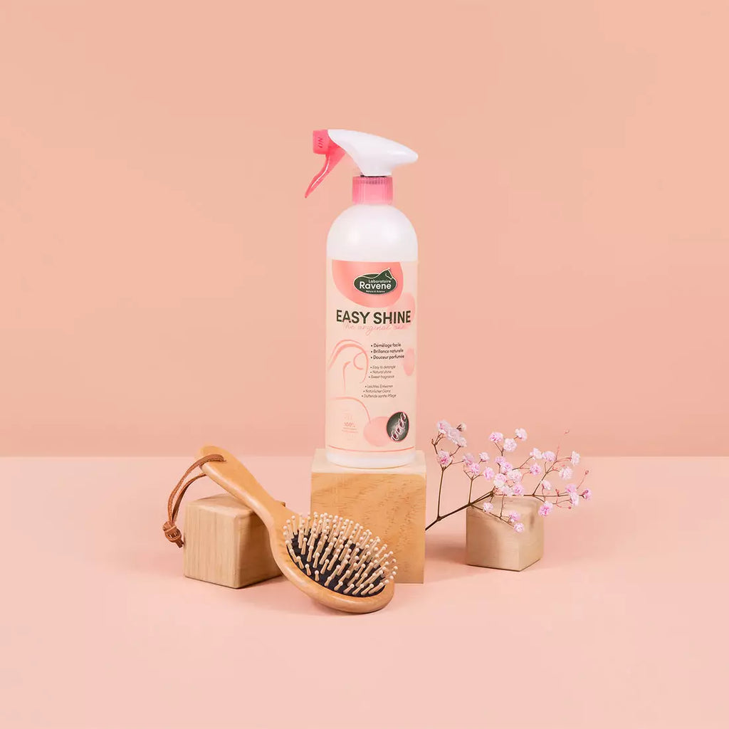 Easy Shine – Spray Lustre & Démêle