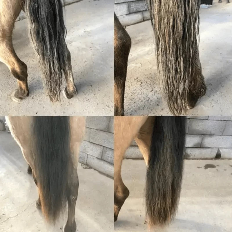 Easy Shine – Spray Lustre & Démêle