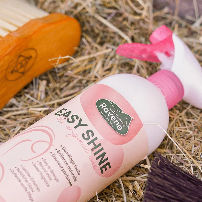 Easy Shine – Spray Lustre & Démêle