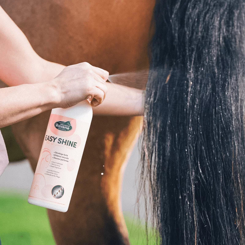 Easy Shine – Spray Lustre & Démêle